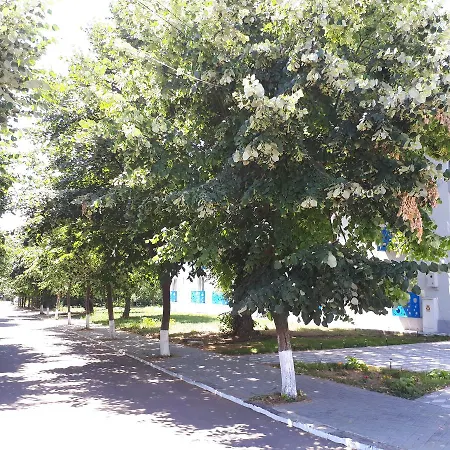 Glam Boutique Эфорие Норд